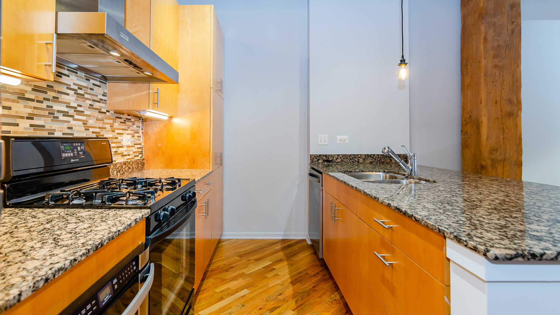 1040 West Adams Street, Unit 221 Chicago, IL 60607 - Photo 6 of 19