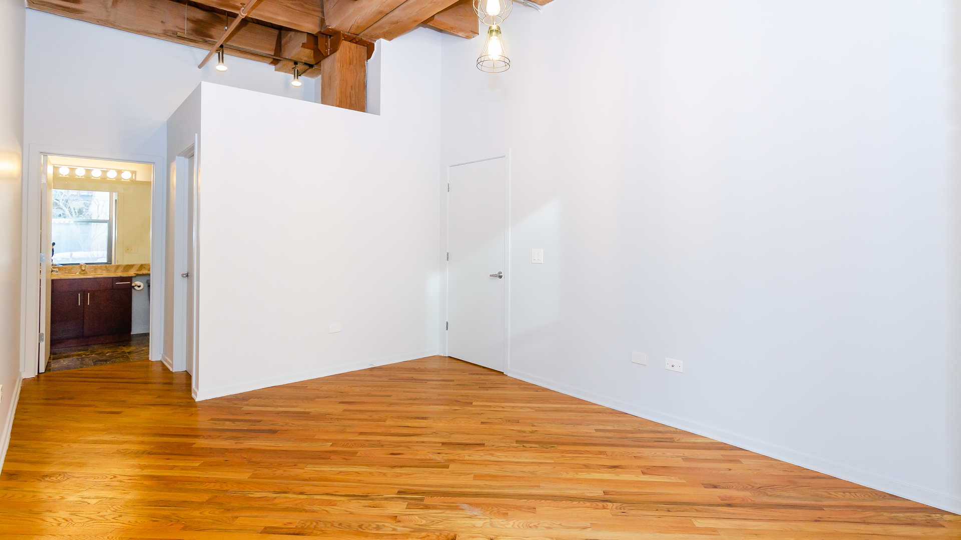 1040 West Adams Street, Unit 221 Chicago, IL 60607 - Photo 9 of 19