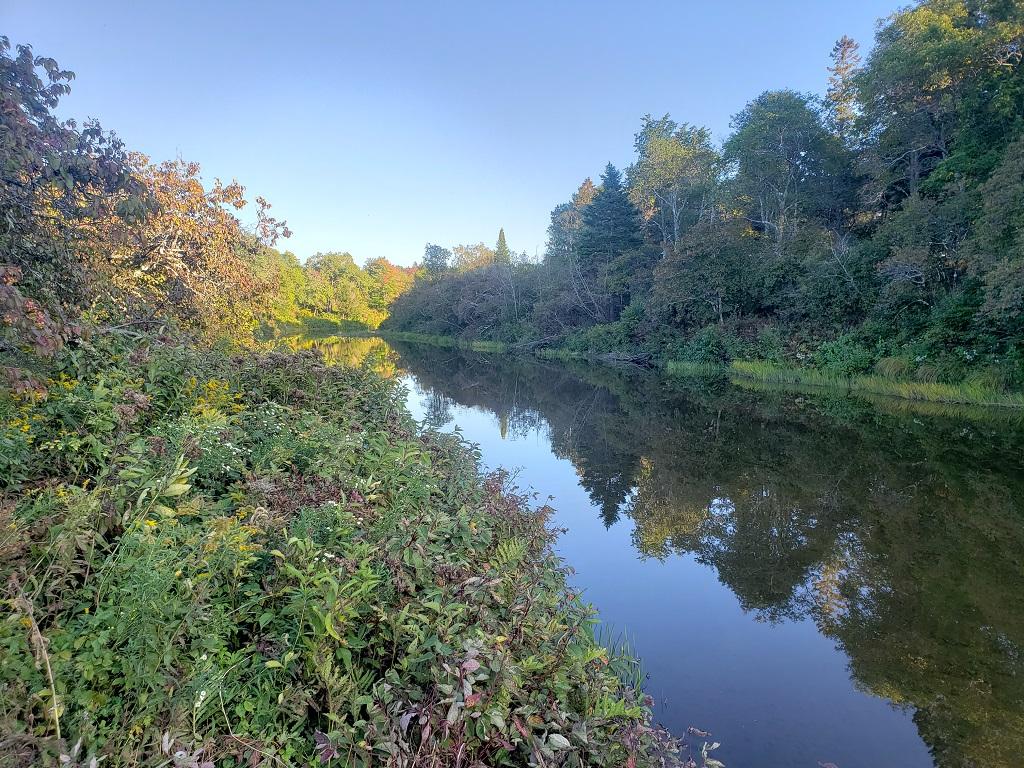 Lot 16 East Ridge Road Cornville, ME 04976 - Photo 2 of 8 Amazing stream frontage