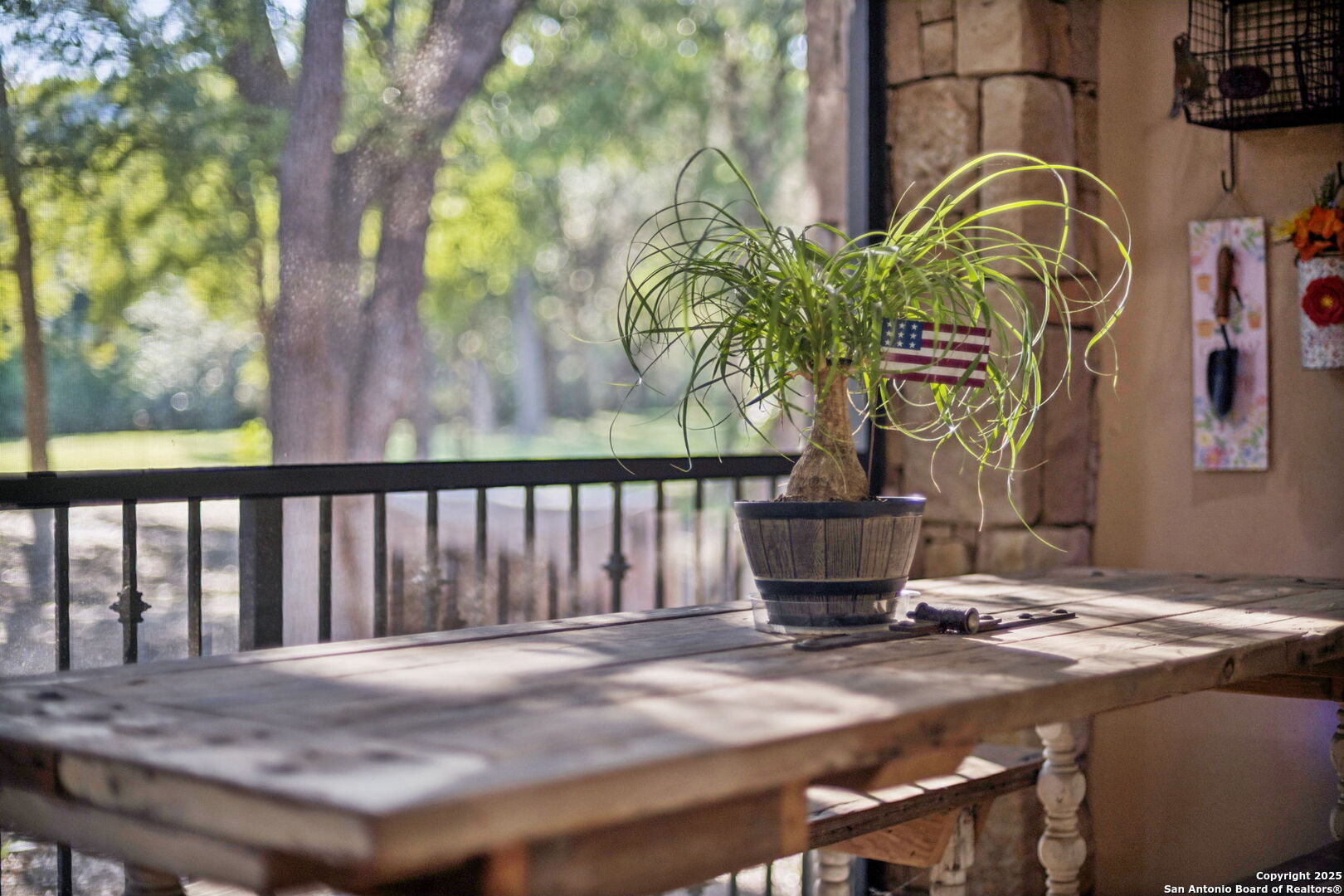 199 Shepherds Crook Helotes, TX 78023 - Photo 78 of 108 a vase of flowers sitting on a table