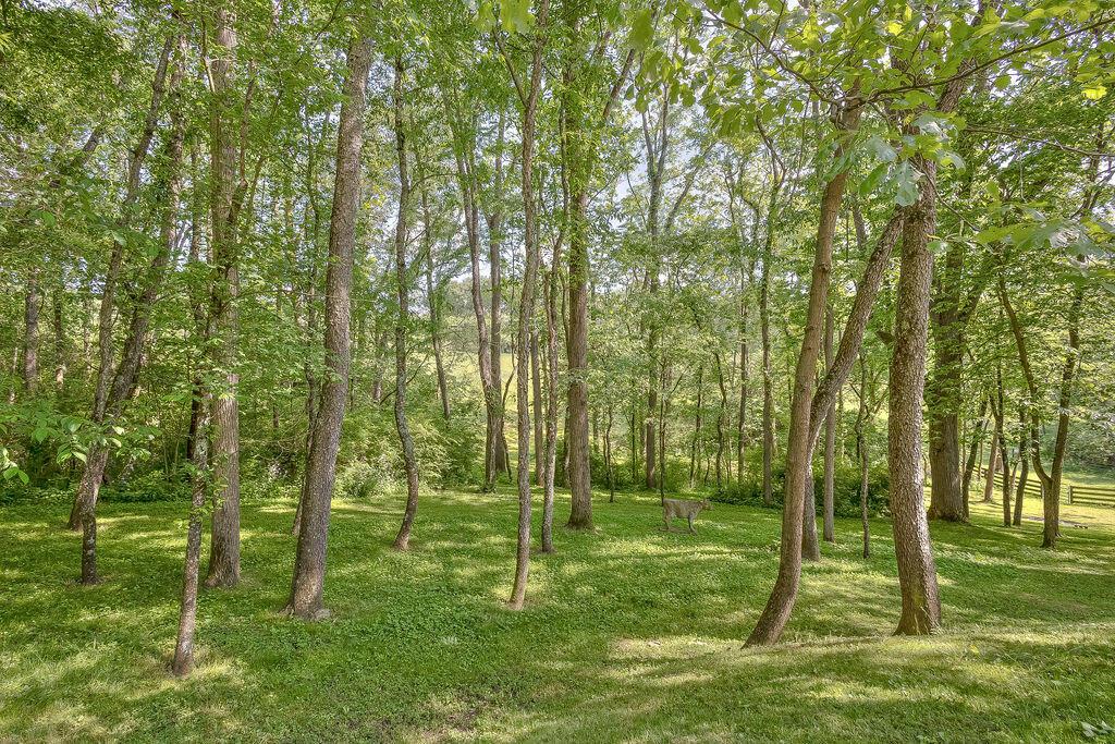 19092 New Gambier Road Mount Vernon, OH 43050 - Photo 11 of 63 1-51