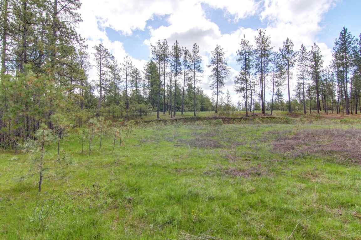 6705 South Dorset Road Spokane, WA 99224 - Photo 15 of 20