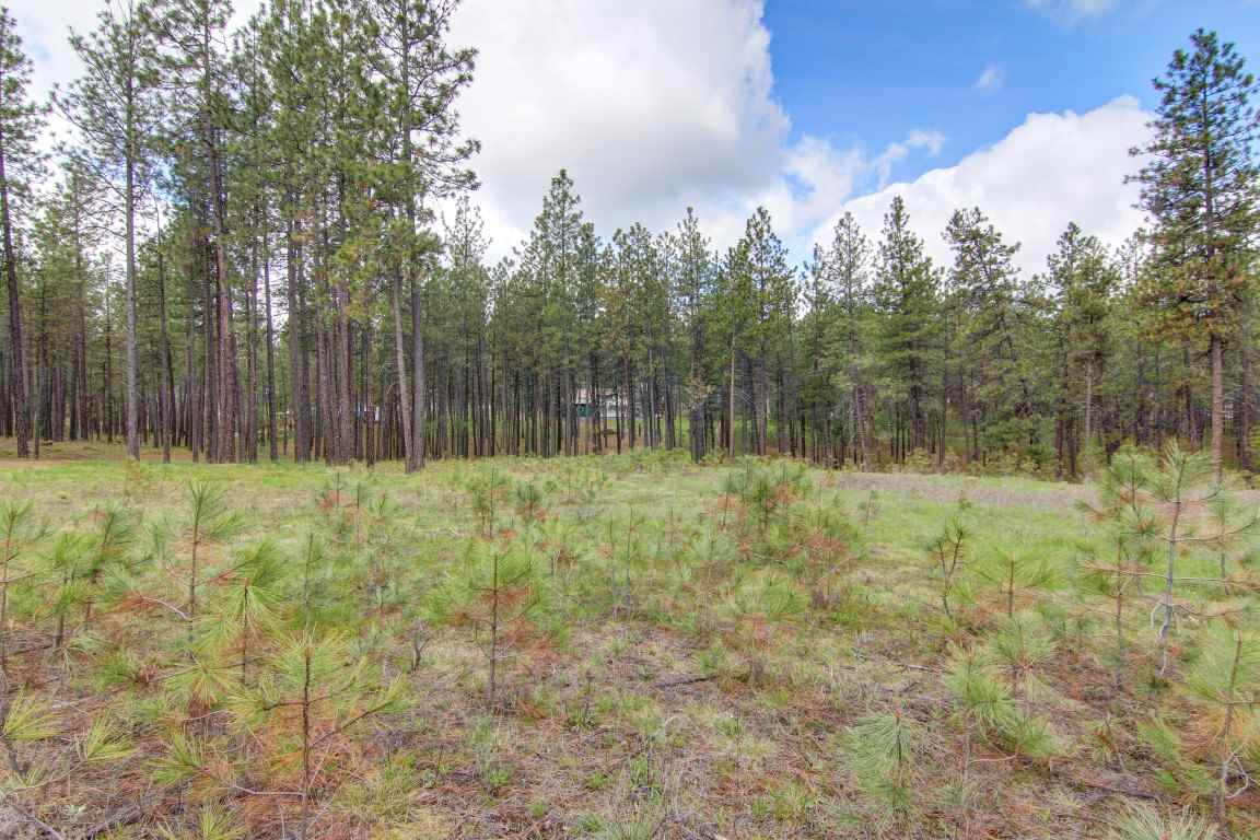 6705 South Dorset Road Spokane, WA 99224 - Photo 16 of 20