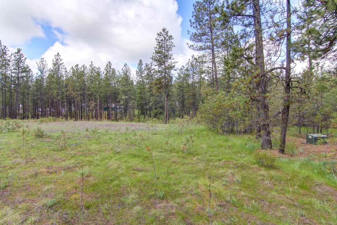 6705 South Dorset Road Spokane, WA 99224 - Photo 17 of 20