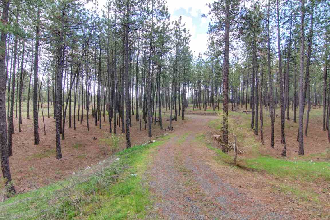 6705 South Dorset Road Spokane, WA 99224 - Photo 19 of 20