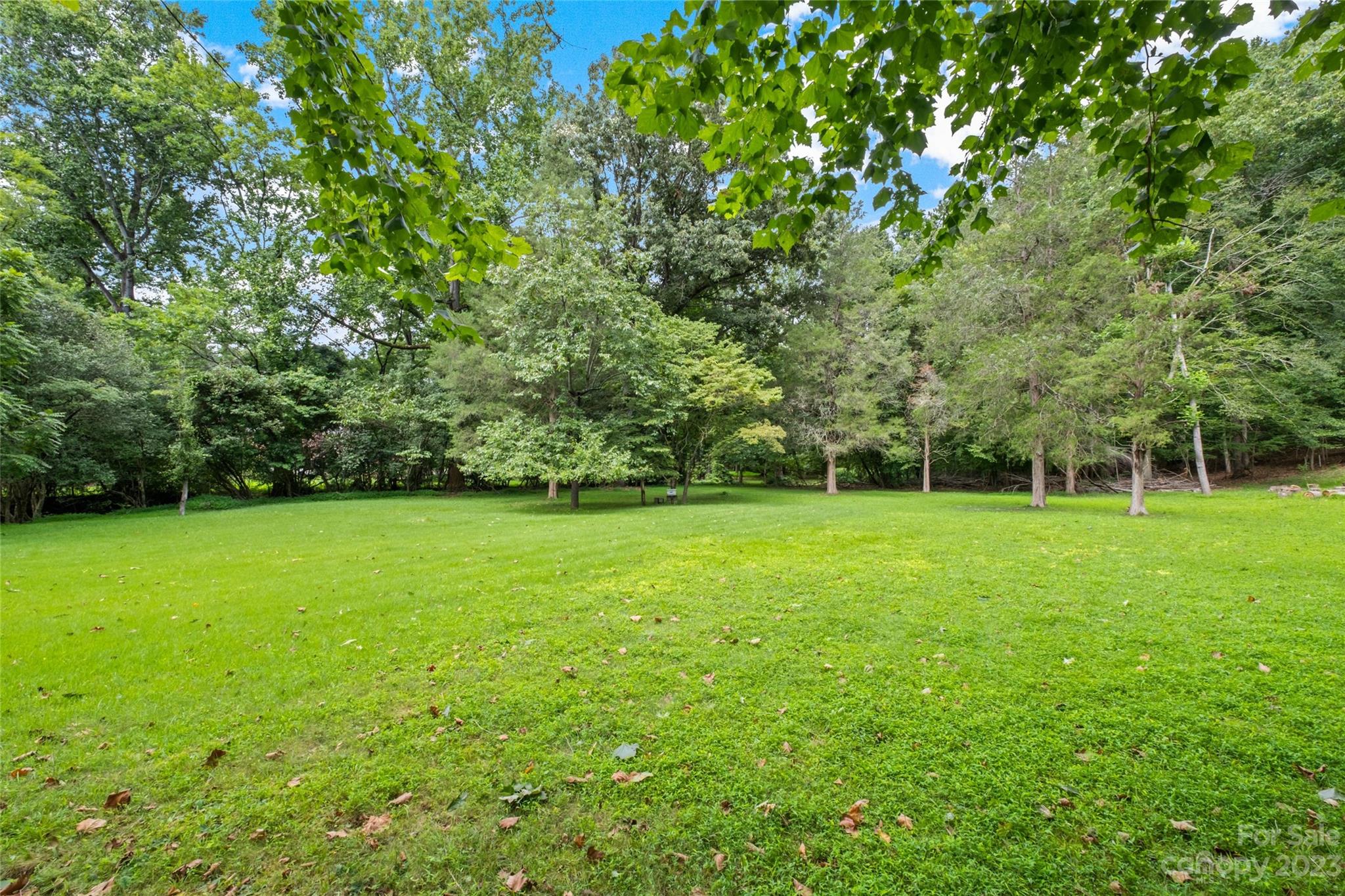 8105 Sardis Road Charlotte, NC 28270 - Photo 2 of 7 a view of a field of grass and trees