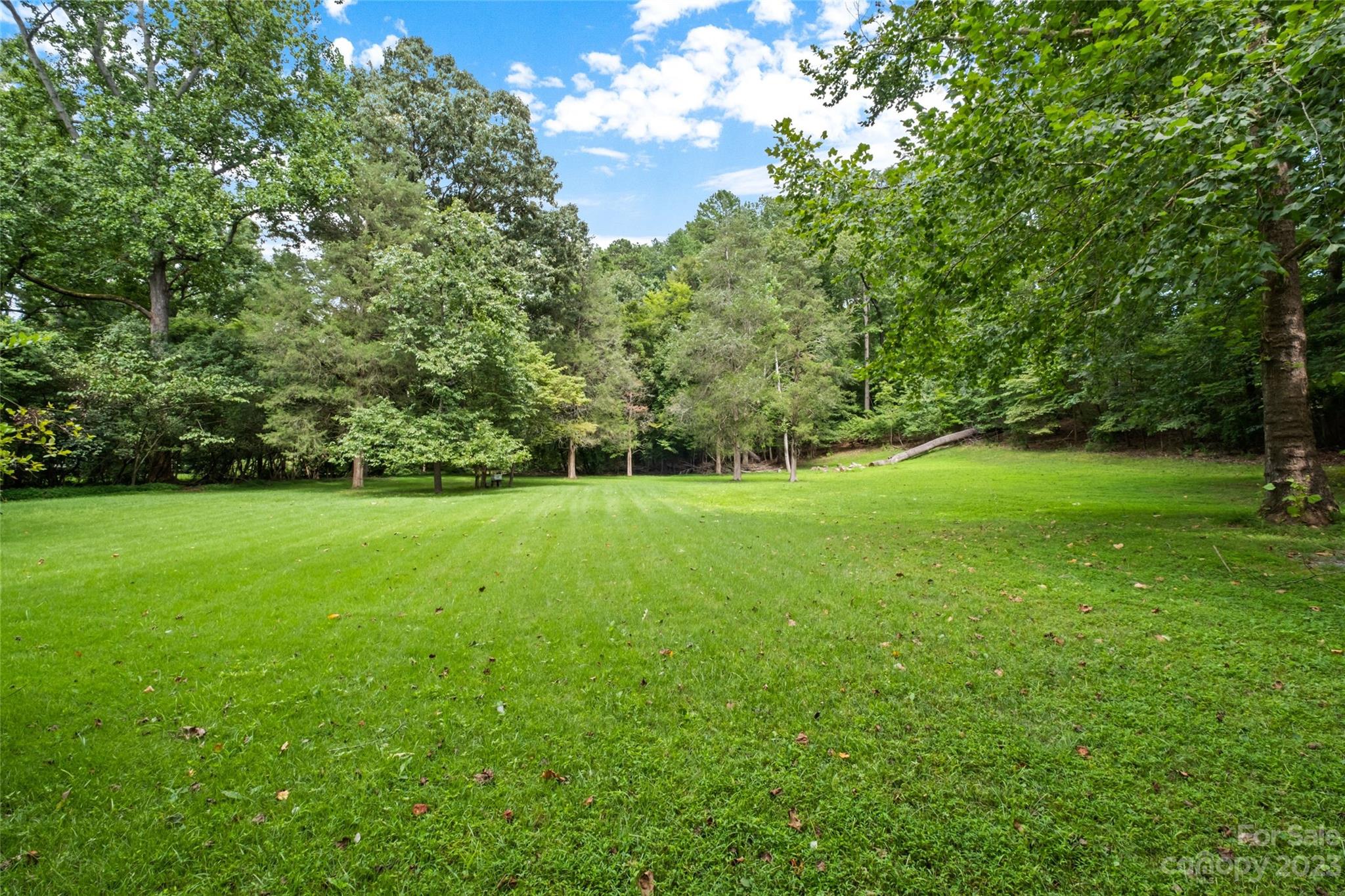 8105 Sardis Road Charlotte, NC 28270 - Photo 3 of 7 a view of a field of grass and trees