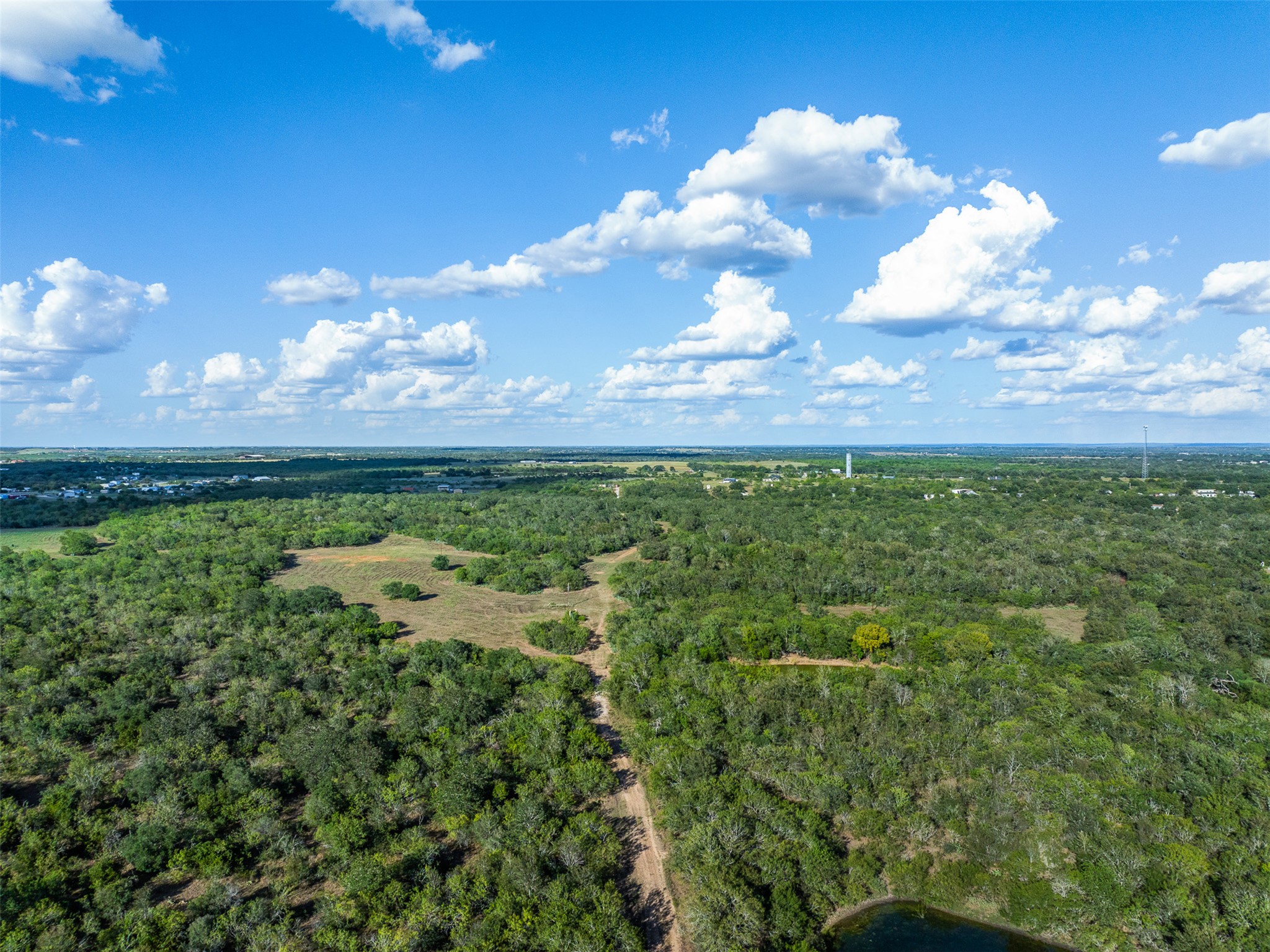 399 Seals Creek Road Lockhart, TX 78644 - Photo 24 of 40 Drone / aerial view of a forest