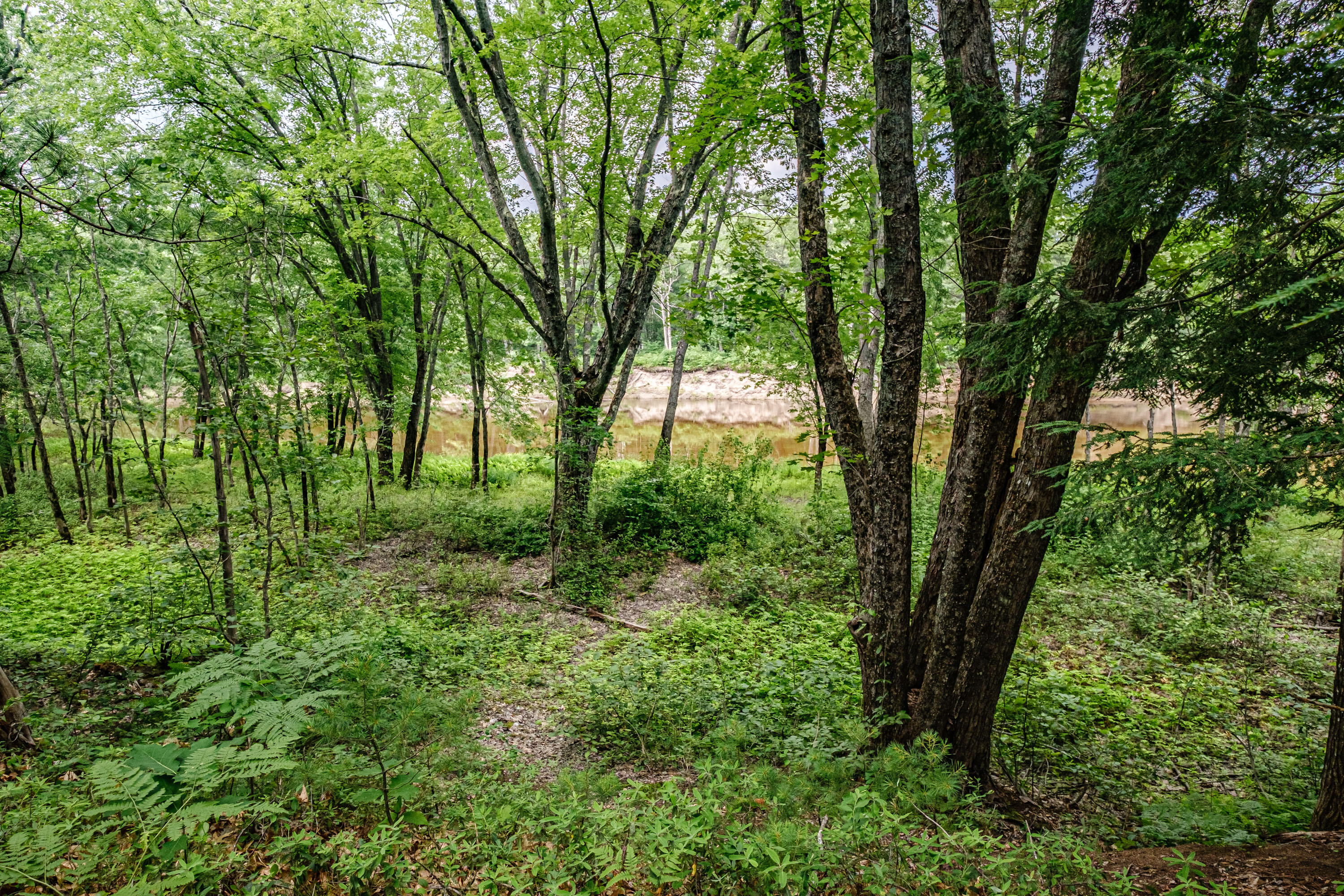 114 Riverbend Road Brownfield, ME 04010 - Photo 33 of 82 20210706mvht-63039