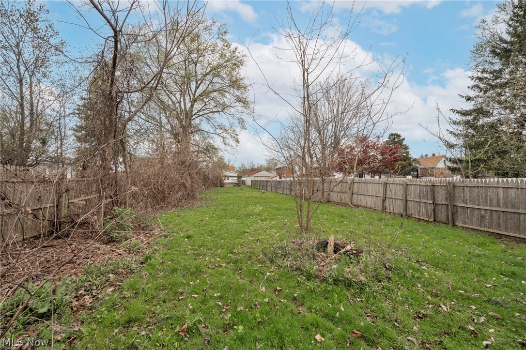 1011 Spring Road Cleveland, OH 44109 - Photo 44 of 47 View of yard