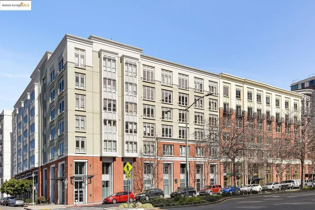 a view of a yard with potted plants