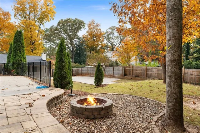 a view of a backyard with plants and tree