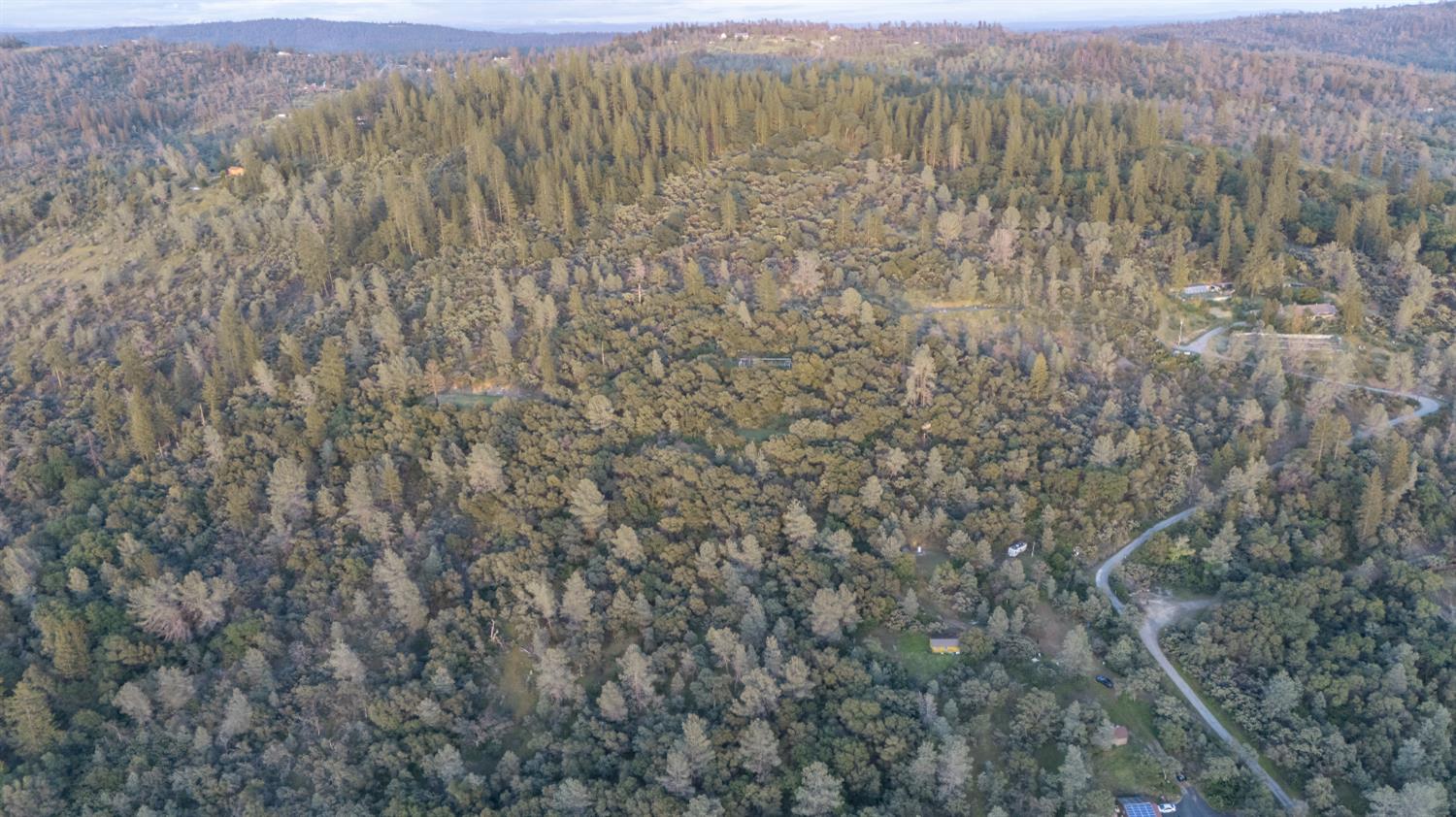 12911 Long Valley Road Penn Valley, CA 95946 - Photo 13 of 35 a view of a forest with trees in the background