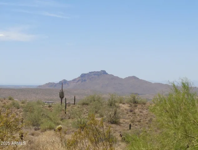 a view of a dry yard with mountains and green space