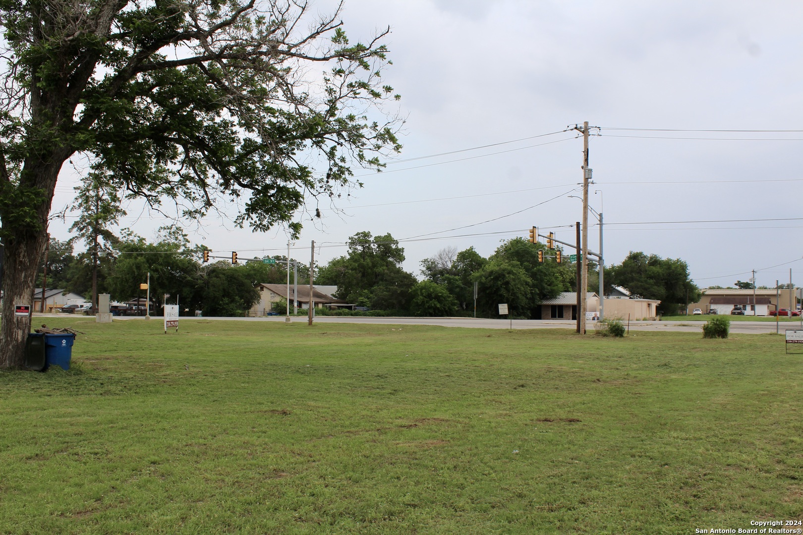 707 Commerce Street Pleasanton, TX 78064 - Photo 10 of 13 a view of a golf course with a big yard