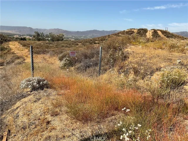 a view of a dry yard with trees and mountain view