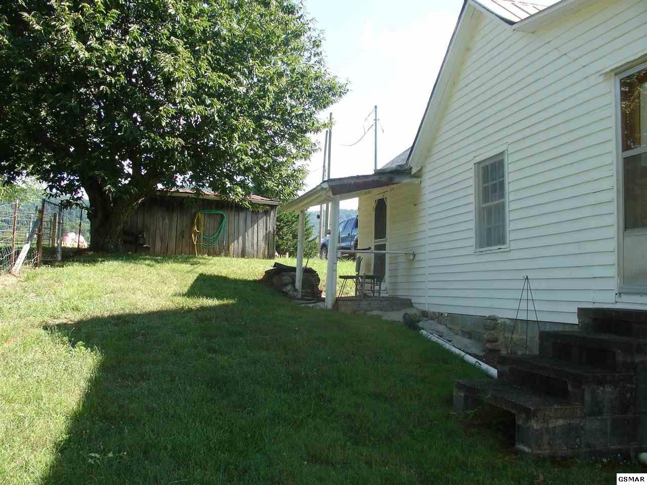 462 County Line Road Dandridge, TN 37725 - Photo 12 of 22