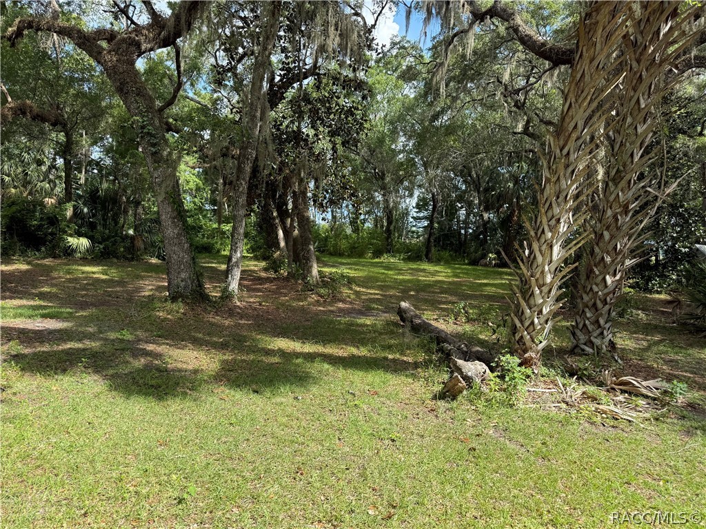 5191 East Parsons Point Road Hernando, FL 34442 - Photo 4 of 4