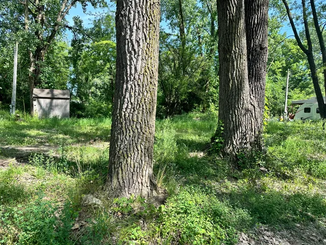 a view of backyard of house with green space