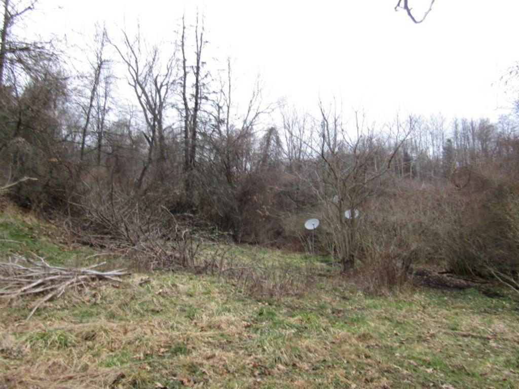 6000 Station Hill Road Gibsonia, PA 15044 - Photo 4 of 23 a view of a yard with trees in the background