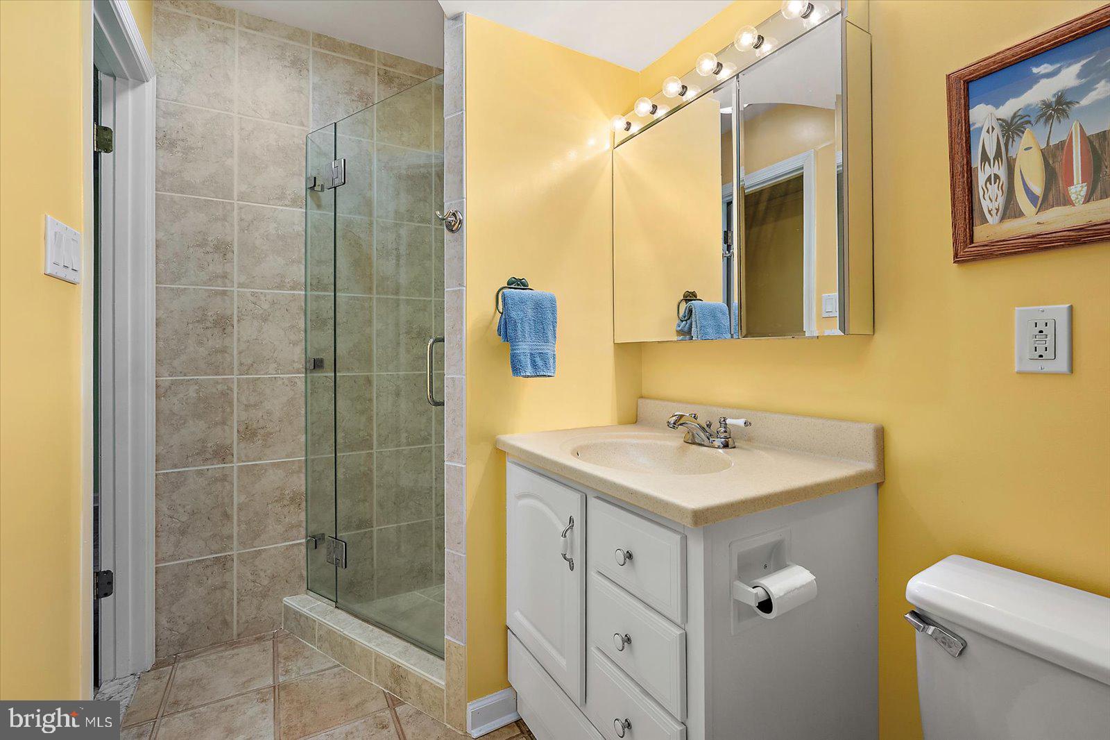 607 South Surf Road Ocean City, MD 21842 - Photo 15 of 91 First Floor Full Bath