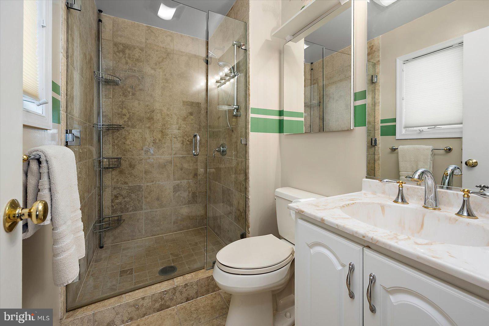 607 South Surf Road Ocean City, MD 21842 - Photo 30 of 91 Primary Bath