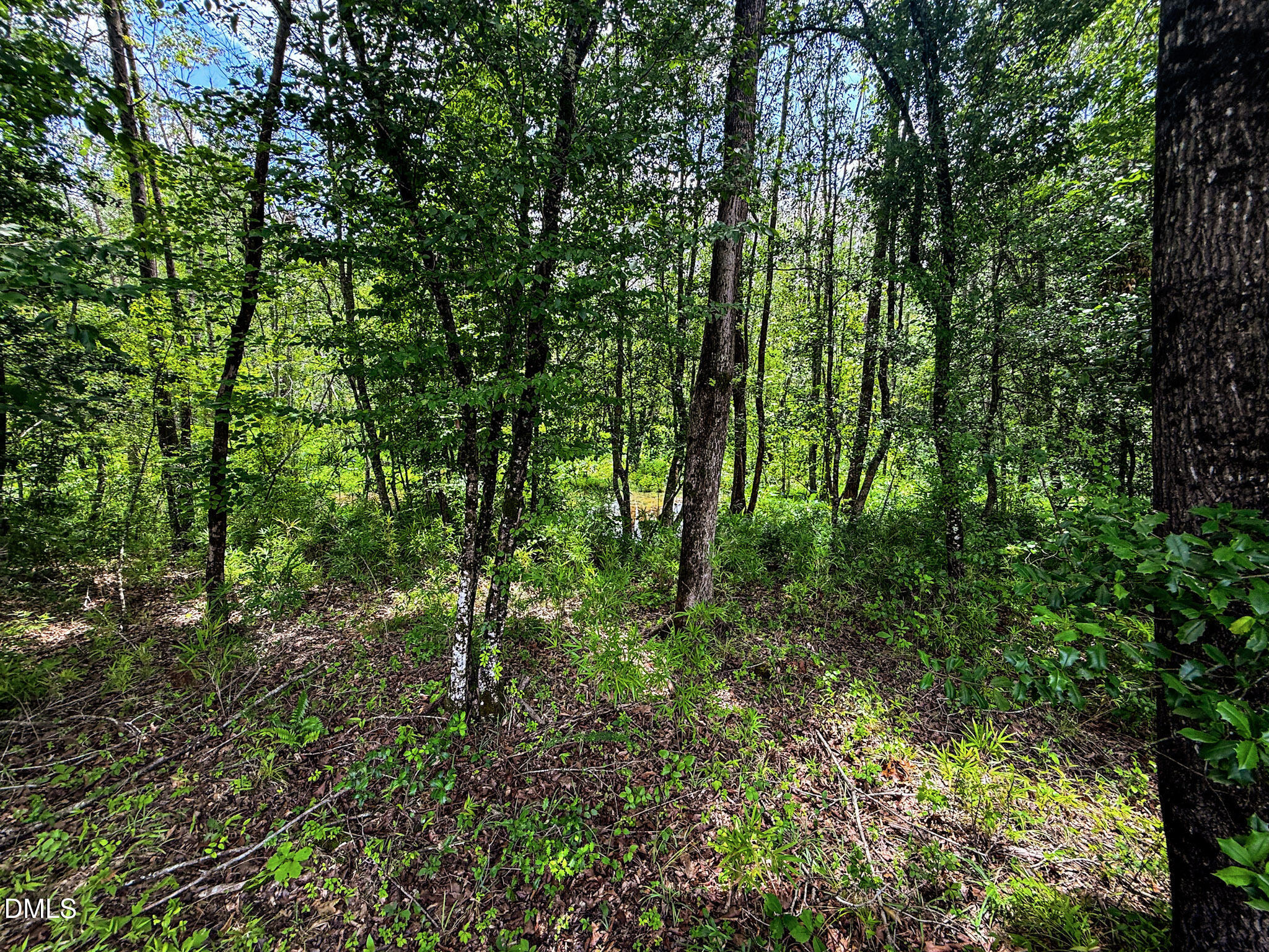 147 Hood Loop Road Henderson, NC 27537 - Photo 31 of 37 31