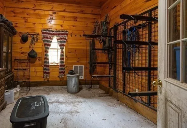 a view of a forest with trees in the background