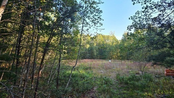 288 High Street Uxbridge, MA 01569 - Photo 10 of 24 a view of a forest with trees in the background