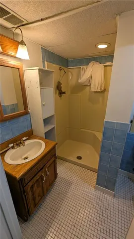 a bathroom with a sink a mirror and shower
