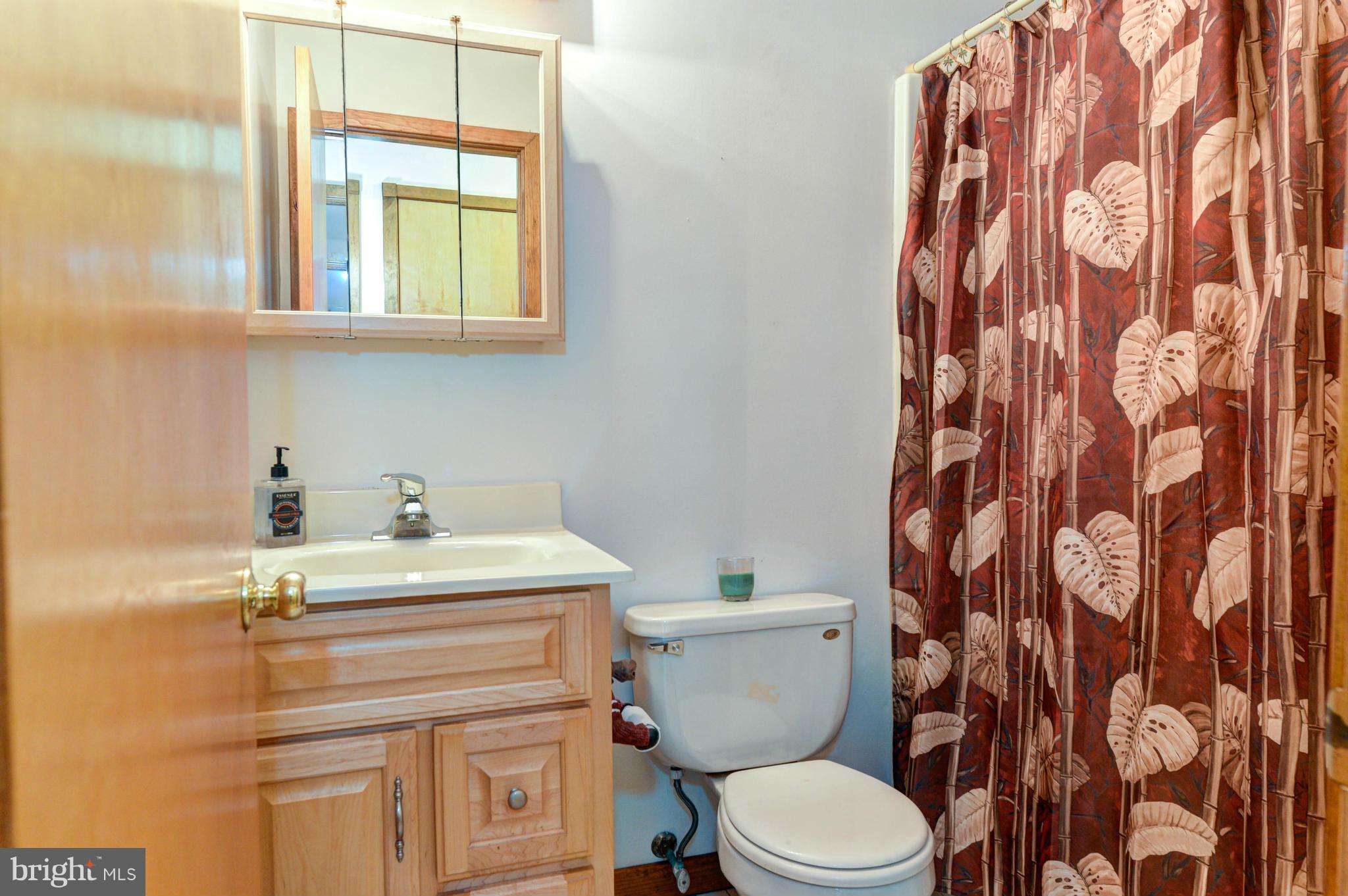 730 Oldfield Point Road Elkton, MD 21921 - Photo 18 of 25 Spare Bath