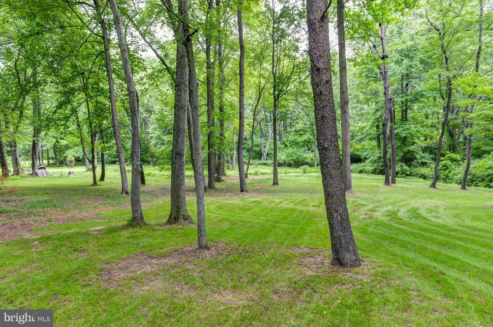 730 Oldfield Point Road Elkton, MD 21921 - Photo 5 of 25 Exterior (Rear)