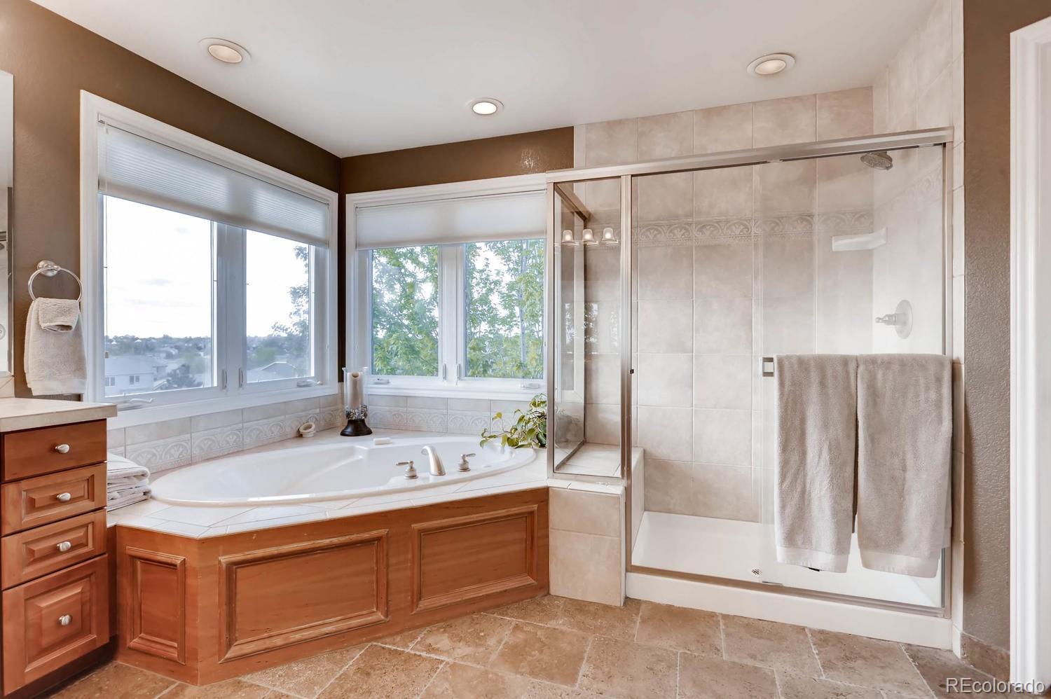 10537 Ridgecrest Circle Highlands Ranch, CO 80129 - Photo 20 of 35 Gallery Image 20