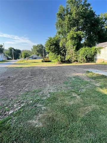 $24,999 | 1500 Georgia Street, Louisiana, MO 63353