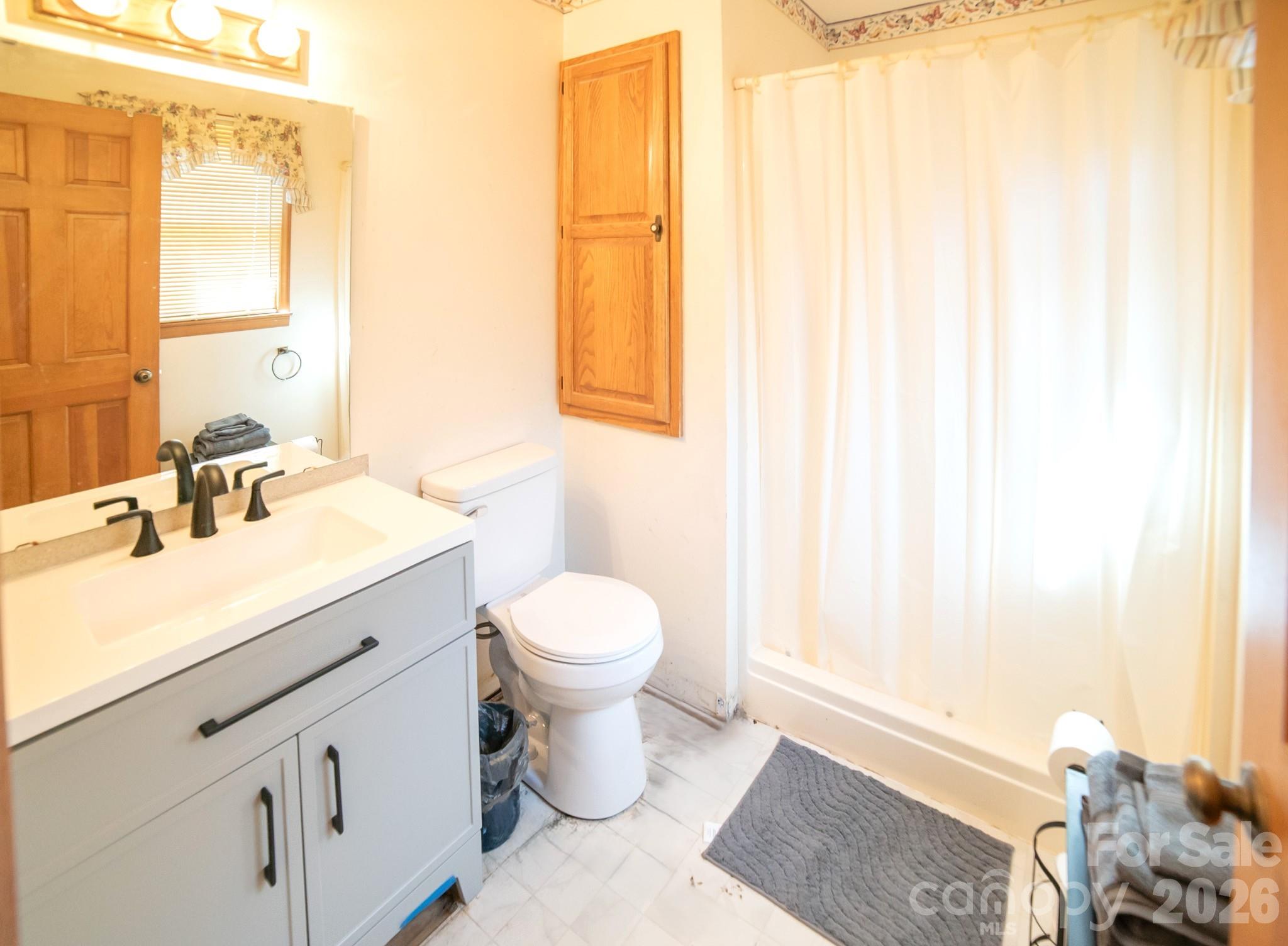 4186 Horseshoe Bend Road Hudson, NC 28638 - Photo 11 of 22 a bathroom with a sink a toilet and a mirror