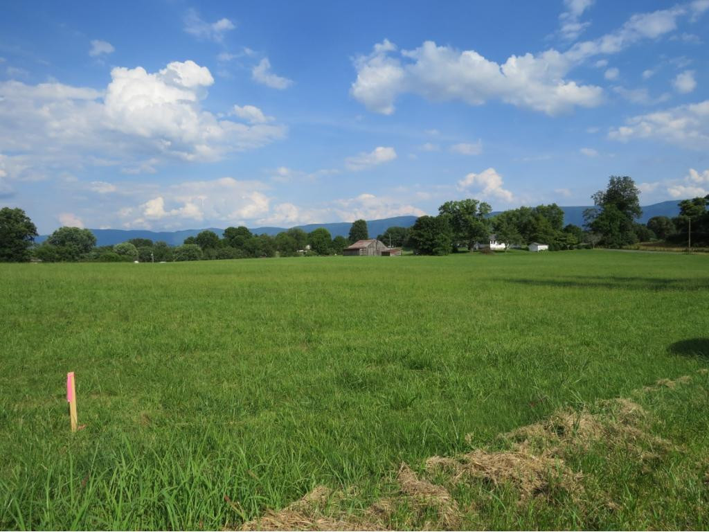 379 Peoples Road Bristol, TN 37620 - Photo 34 of 35 Photo 35