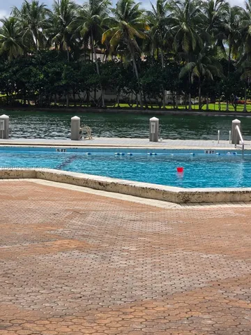 a view of a yard with large trees