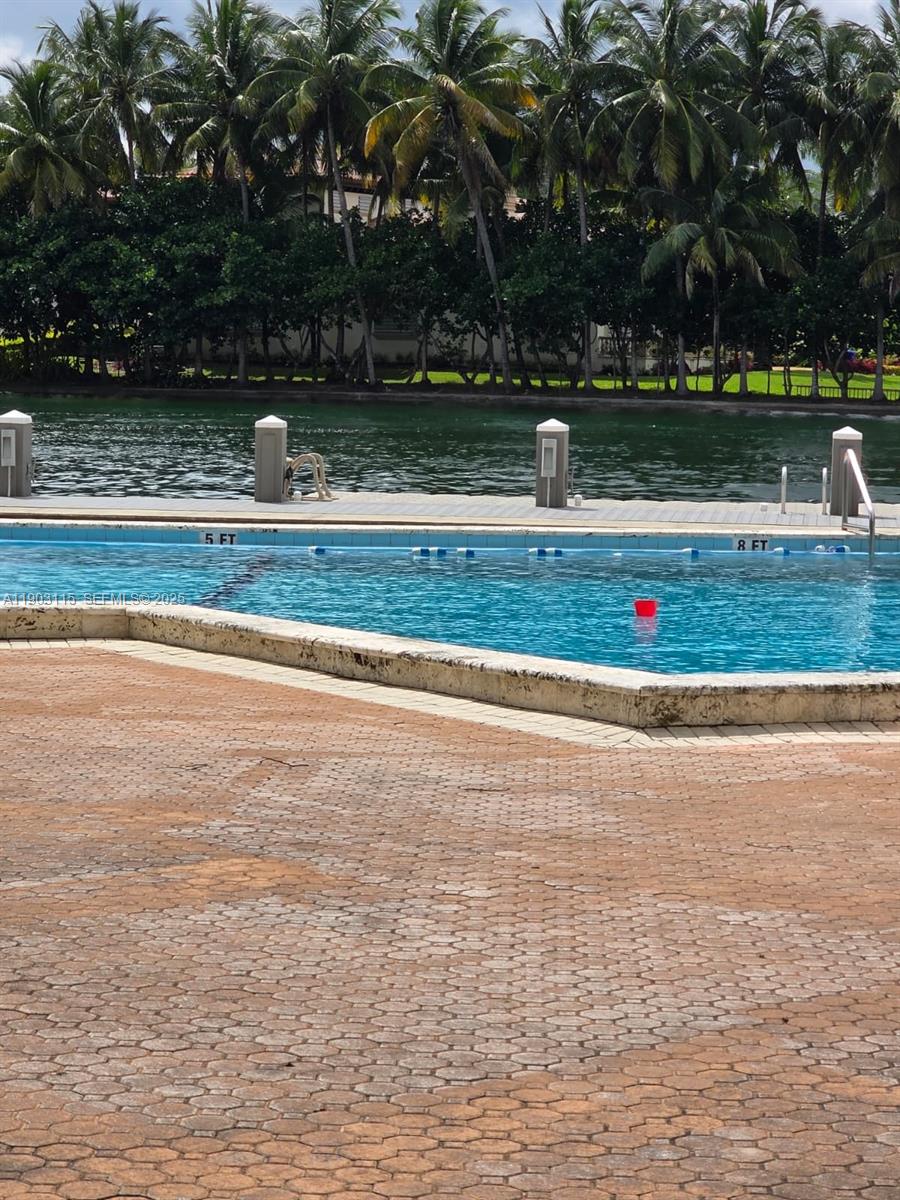 9102 West Bay Harbor Drive, Unit 4C Bay Harbor Islands, FL 33154 - Photo 16 of 26 a view of a yard with large trees
