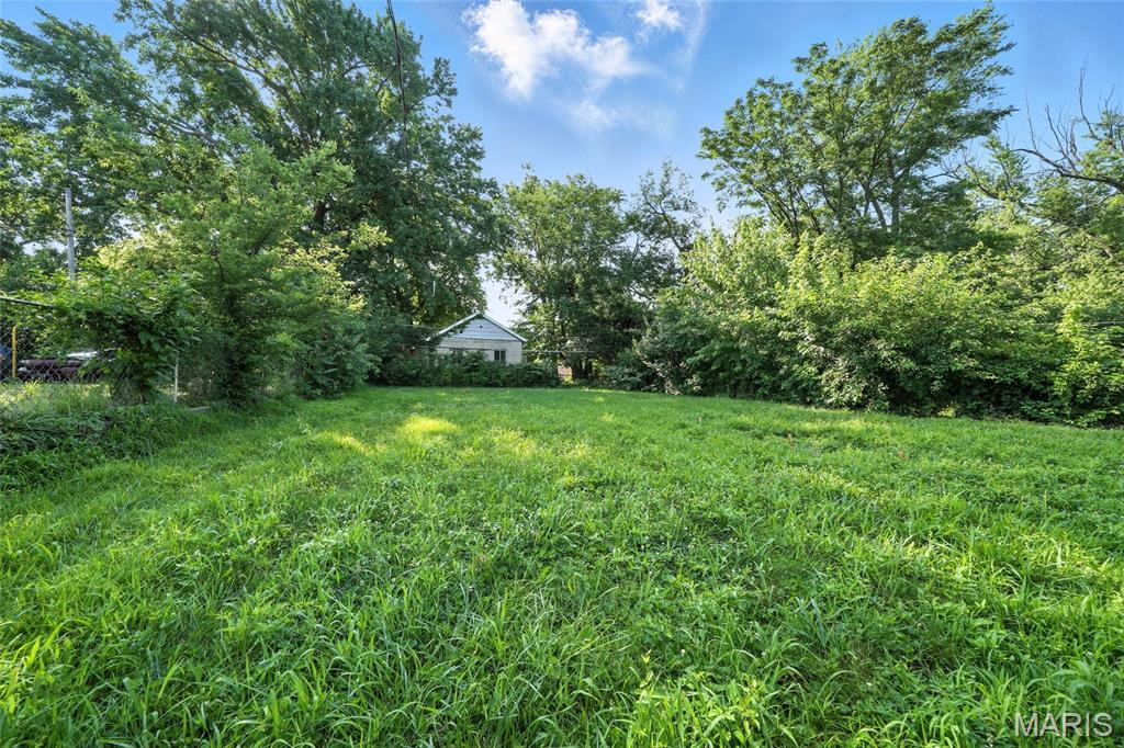 3604 Ridgedale Avenue St. Louis, MO 63121 - Photo 17 of 18