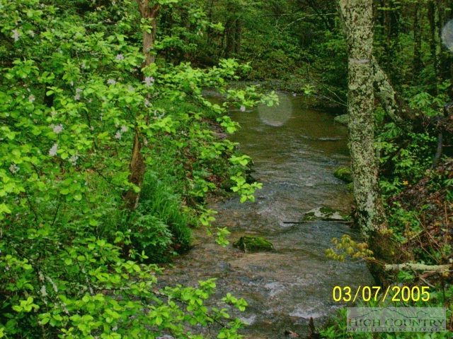 Mud Creek Road Lansing, NC 28643 - Photo 1 of 1 a view of a tree in a garden