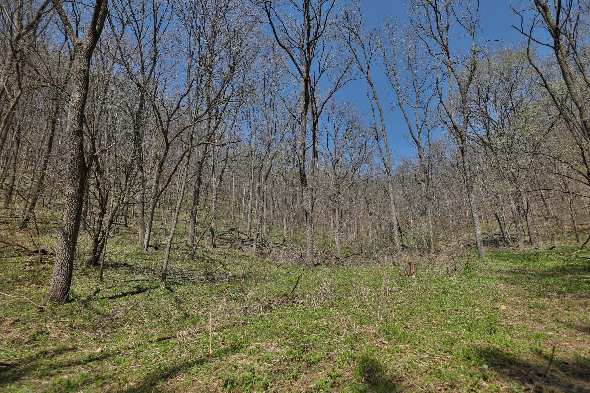 17658 Forest Muscoda, WI 53573 - Photo 18 of 50