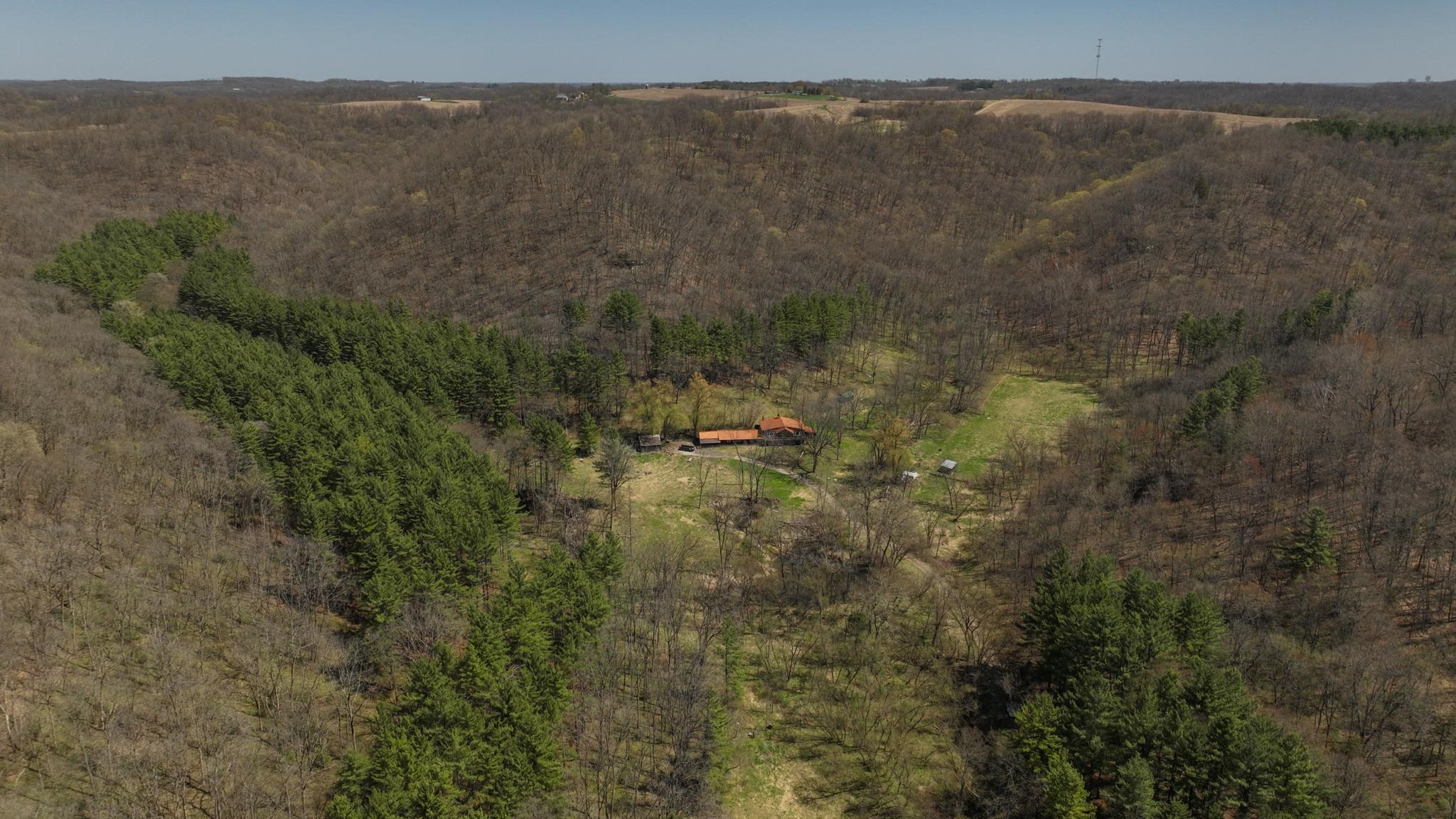 17658 Forest Muscoda, WI 53573 - Photo 2 of 50