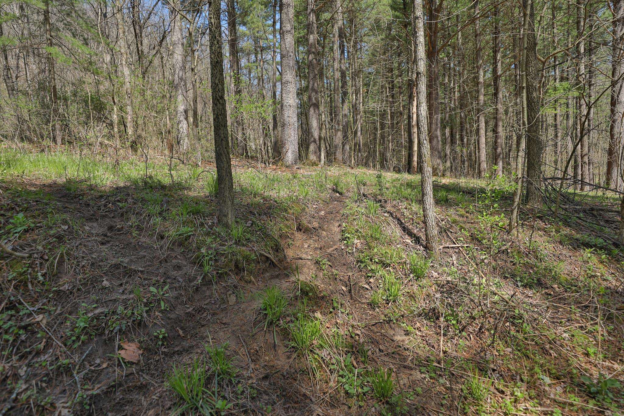 17658 Forest Muscoda, WI 53573 - Photo 21 of 50