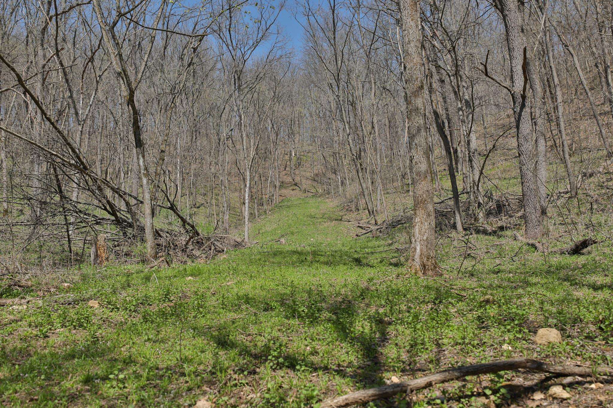 17658 Forest Muscoda, WI 53573 - Photo 22 of 50