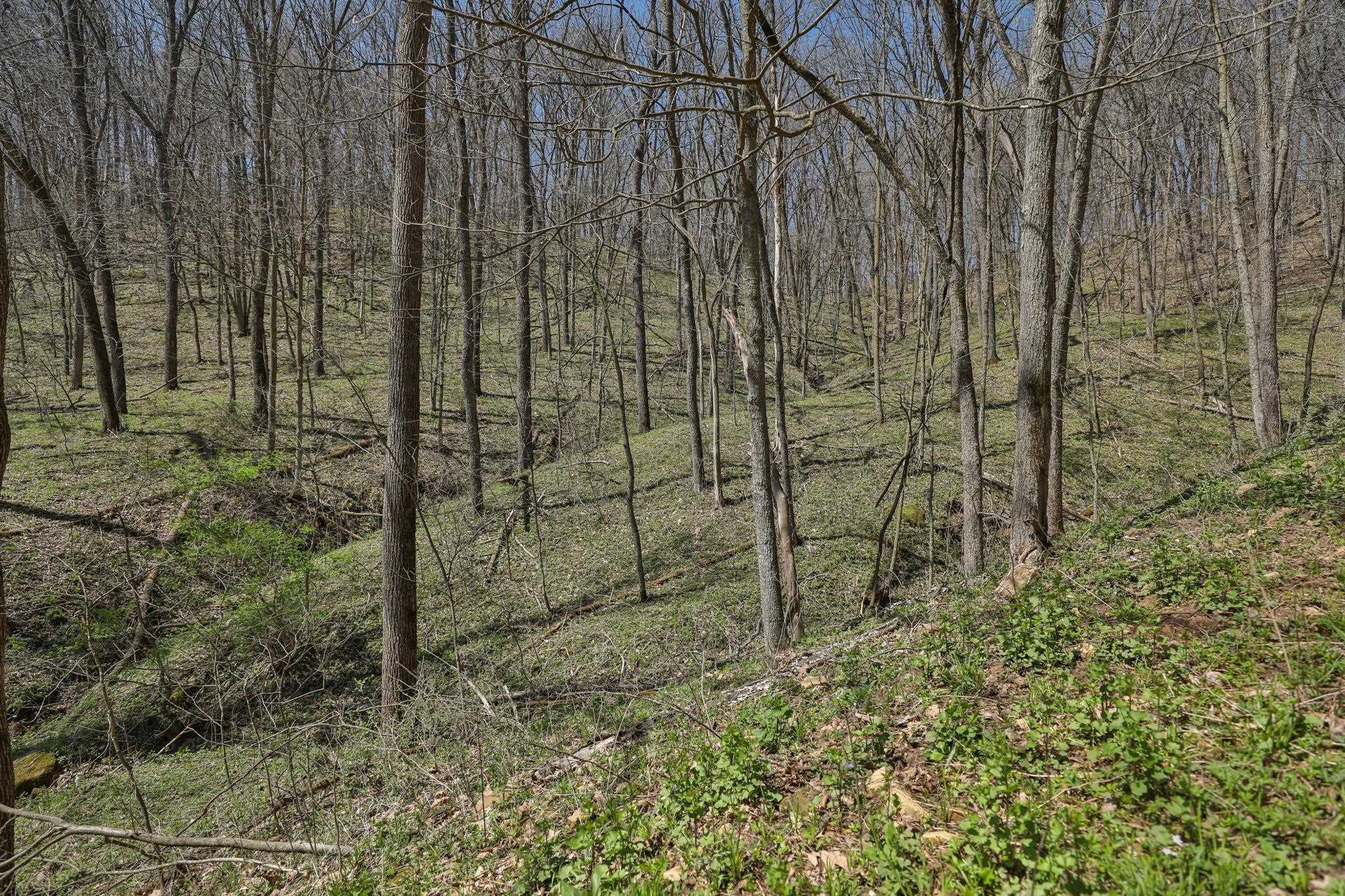 17658 Forest Muscoda, WI 53573 - Photo 23 of 50