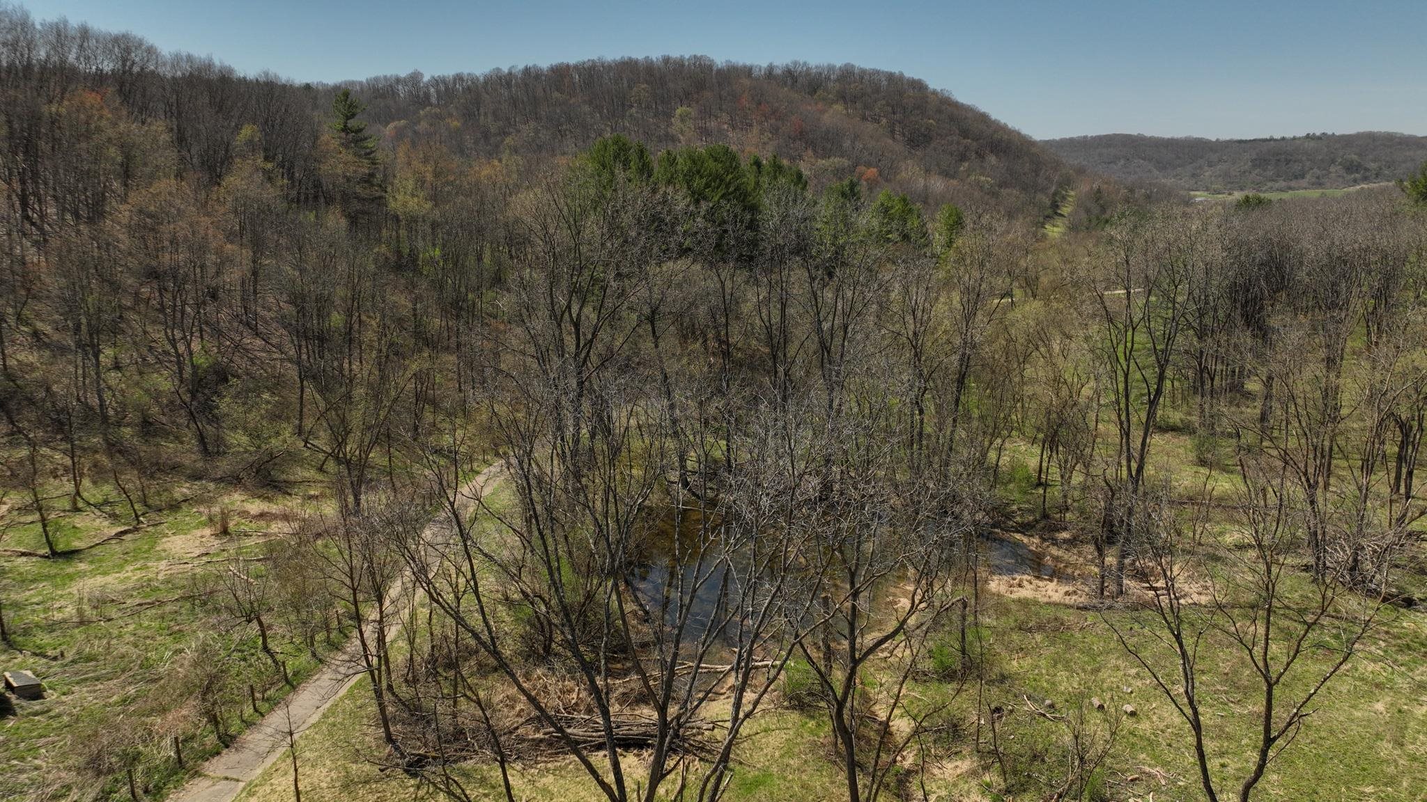 17658 Forest Muscoda, WI 53573 - Photo 25 of 50