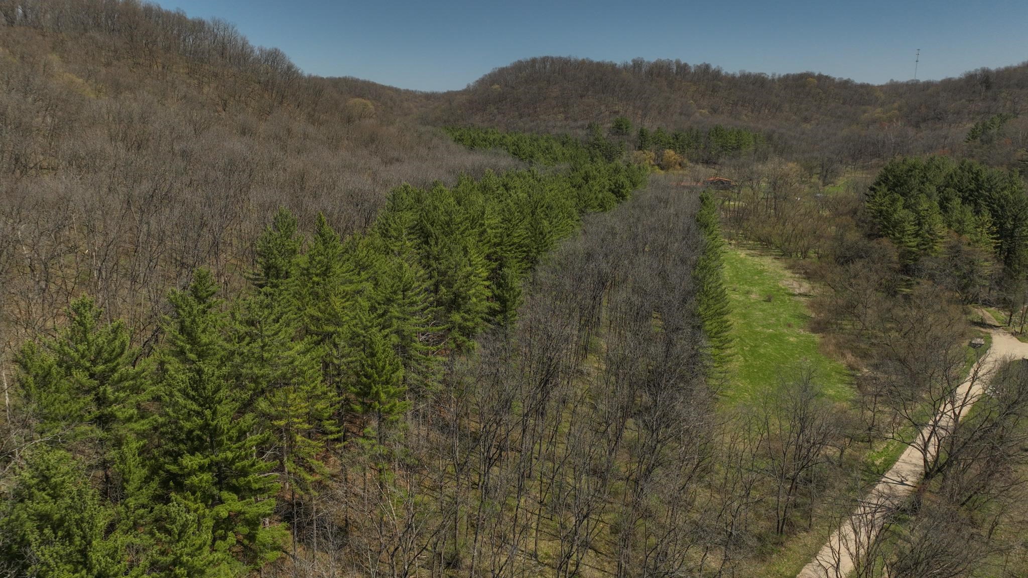 17658 Forest Muscoda, WI 53573 - Photo 27 of 50