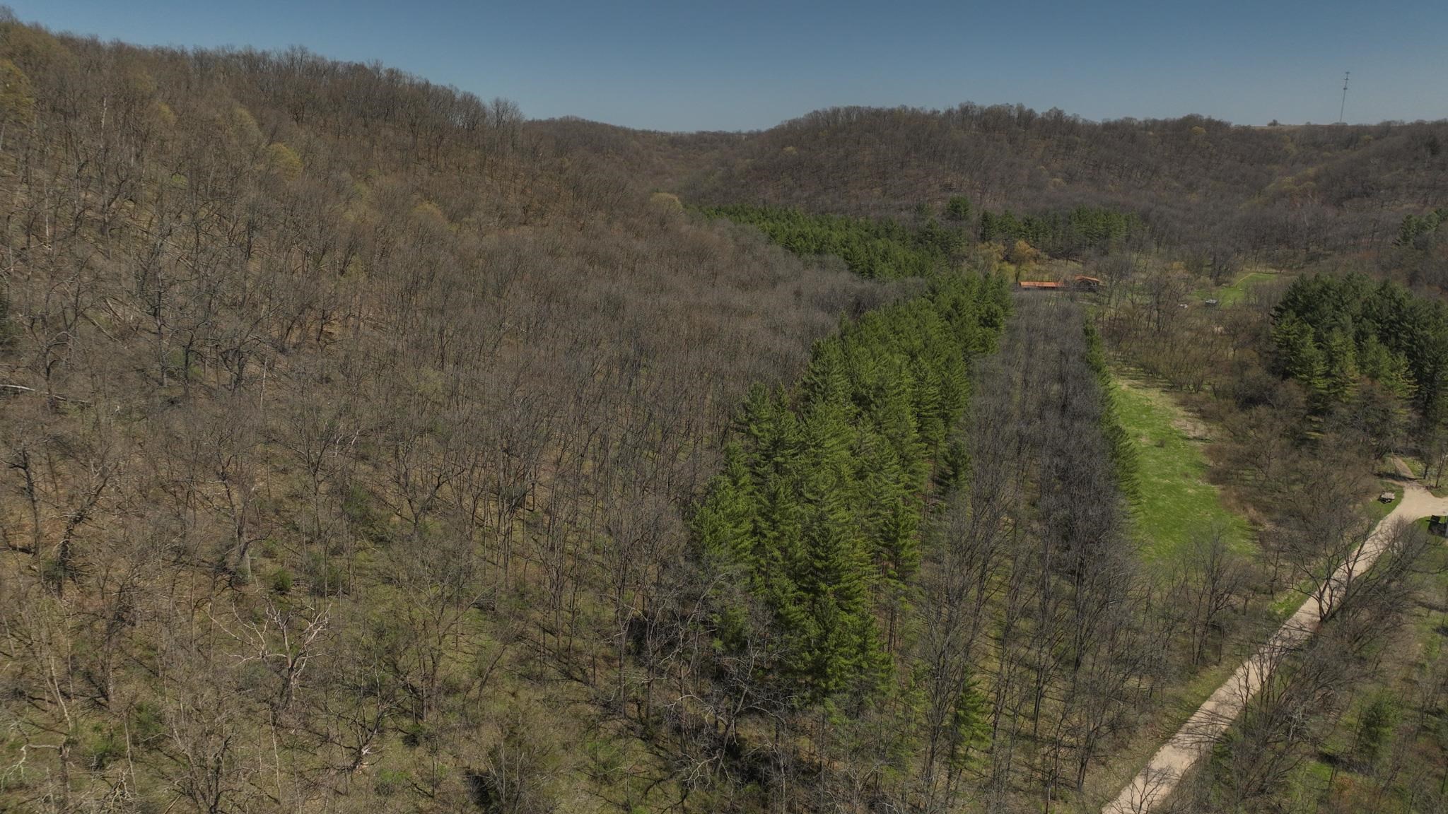 17658 Forest Muscoda, WI 53573 - Photo 28 of 50