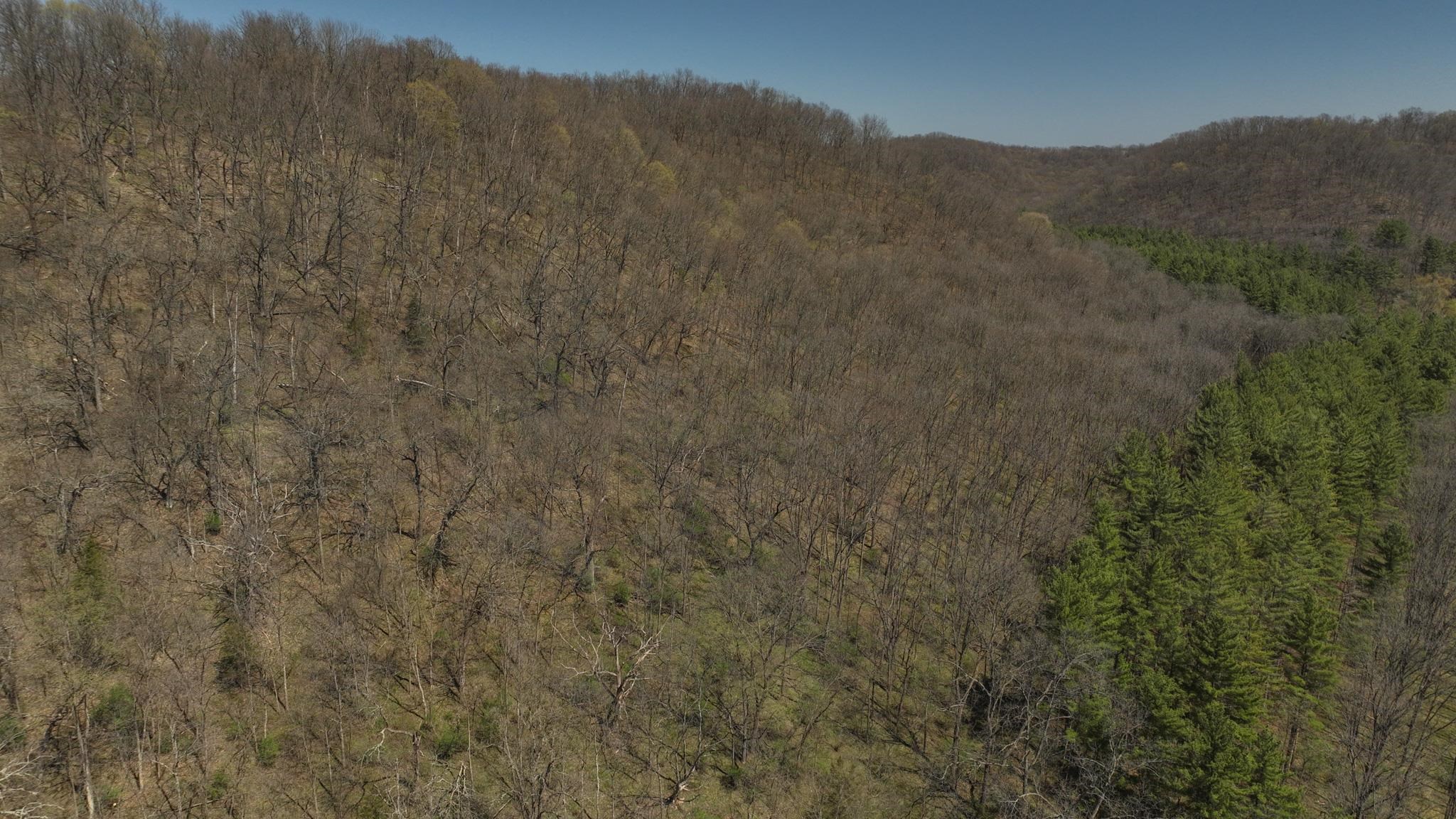 17658 Forest Muscoda, WI 53573 - Photo 29 of 50