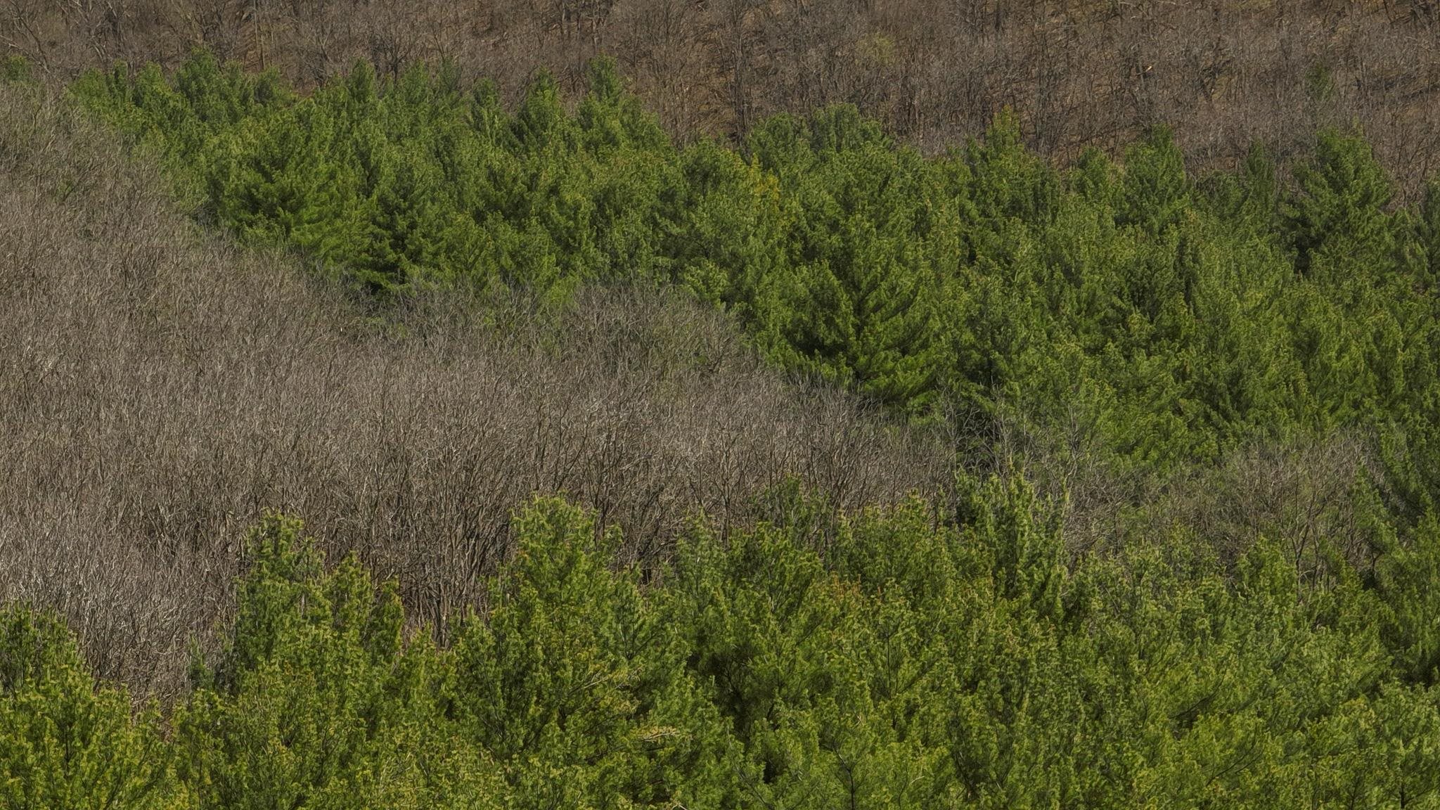 17658 Forest Muscoda, WI 53573 - Photo 30 of 50